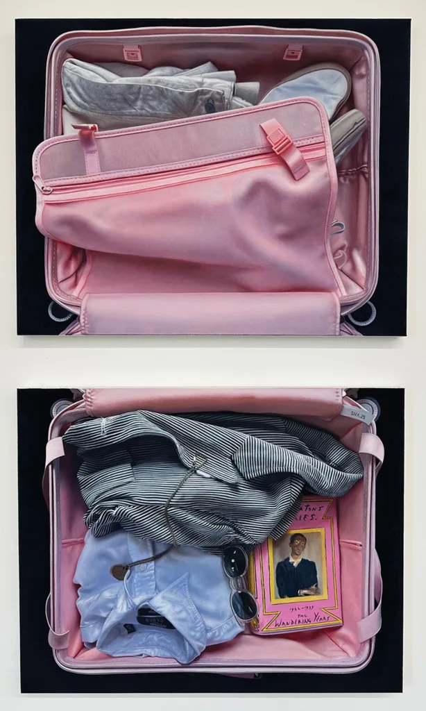 Pink Suitcase with Pendant and Sunglasses, by Andrew Leventis