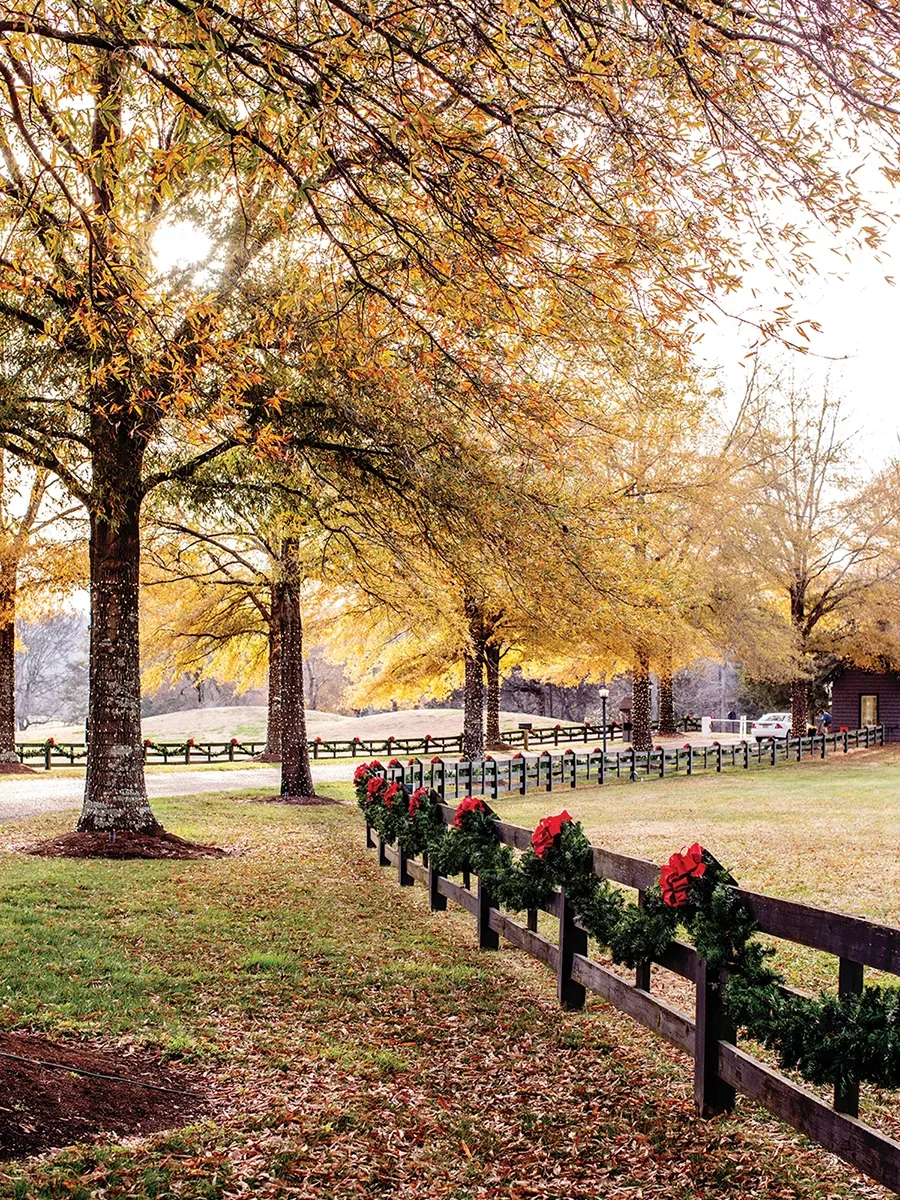 Christmas at Barnsley