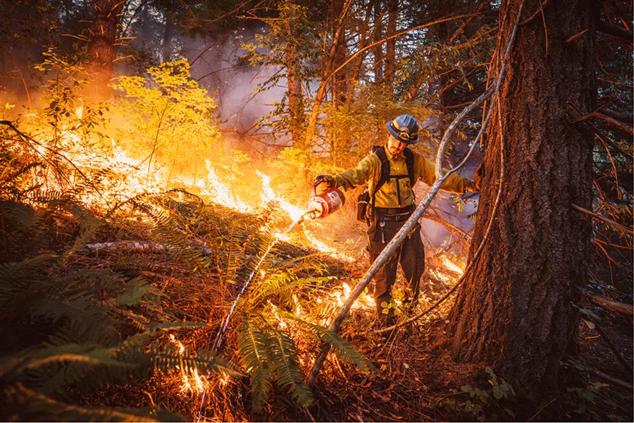 Good Fire/Maddy Rifka. Photographed at Yurok Ancestral Lands, Humboldt County, California. Winner of the Human/Nature category in the California Academy of Sciences 11th annual BigPicture: Natural World Photography Competition—on exhibit at Discovery Place Science in Charlotte through May 2, 2026.