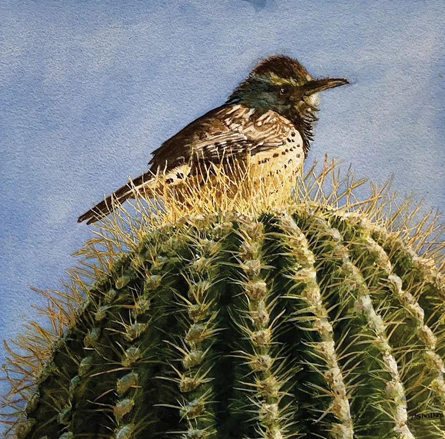 Painting of bird on cactus by Christine Walker