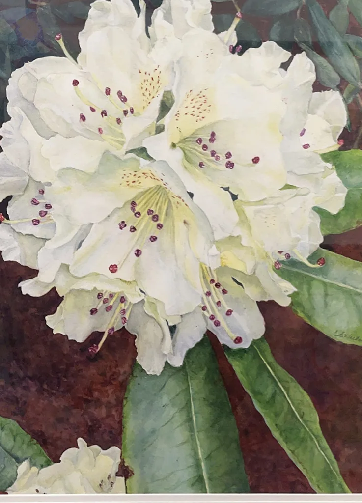 Painting of a flower by Christine Walker